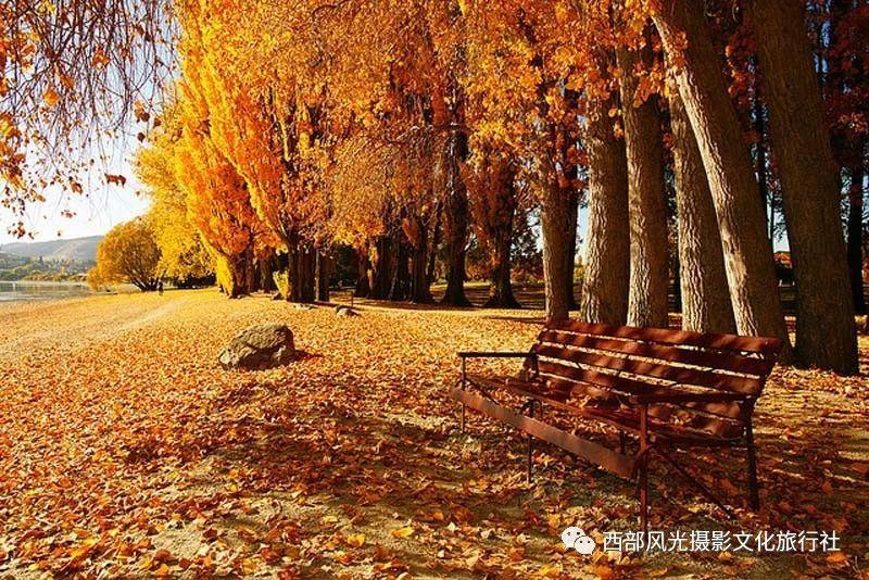 阿根廷官方：3月份将在中国进行2场国际友谊赛，对手几周内公布